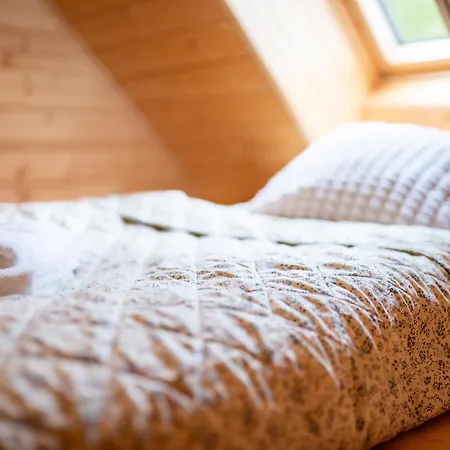 Johanka & Sauna Feriehus Jevíčko